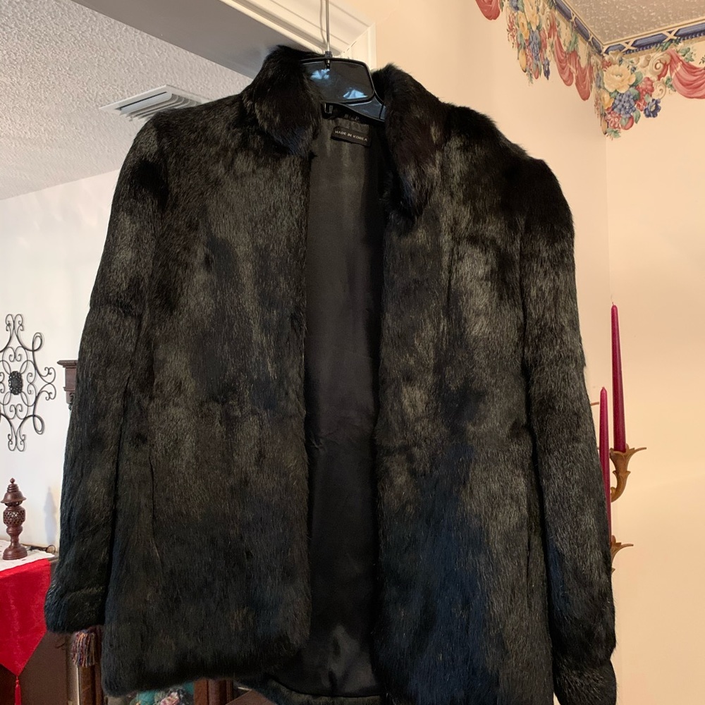 Black French Rabbit.  size Petit